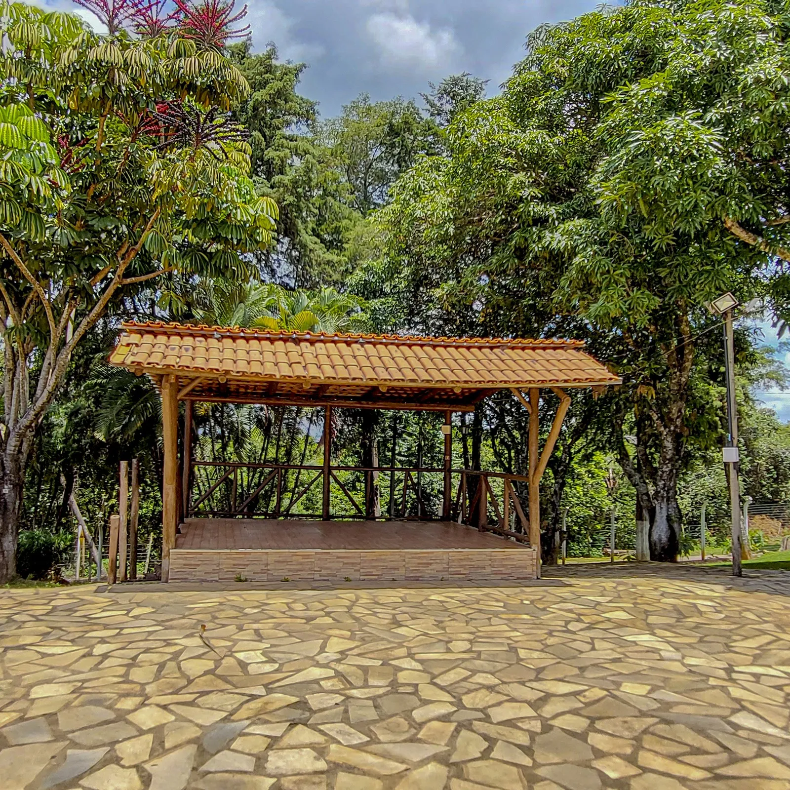 Calçada de pedra sob as árvores